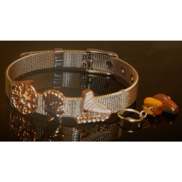 Tiger Eye Gemstone- Stainless Steel Mesh Keeper Bracelet-Band-Slide Charms-551 - Picture 1 of 5